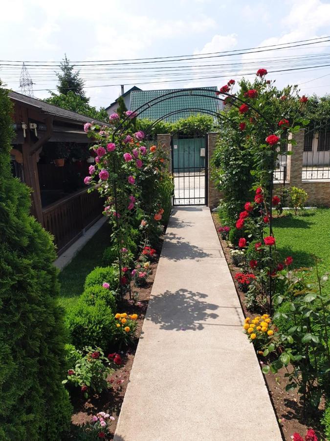 Vila Yna Năvodari Exteriér fotografie